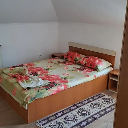 Casa Sara Homestay *